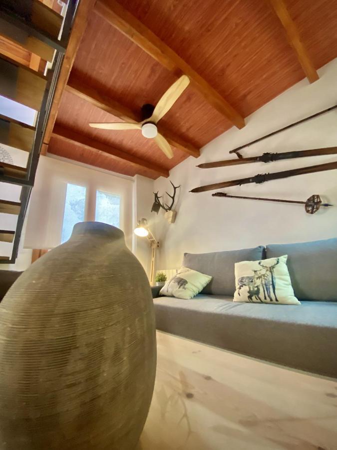 Cal Domenec Rialp - Duplex Con Encanto - Se Admiten Mascotas Eksteriør billede